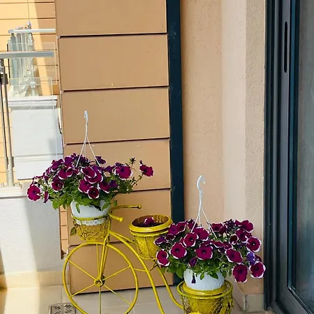 Sunny By Pikhost Апартаменты