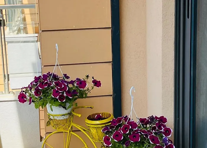 Sunny By Pikhost Апартаменты